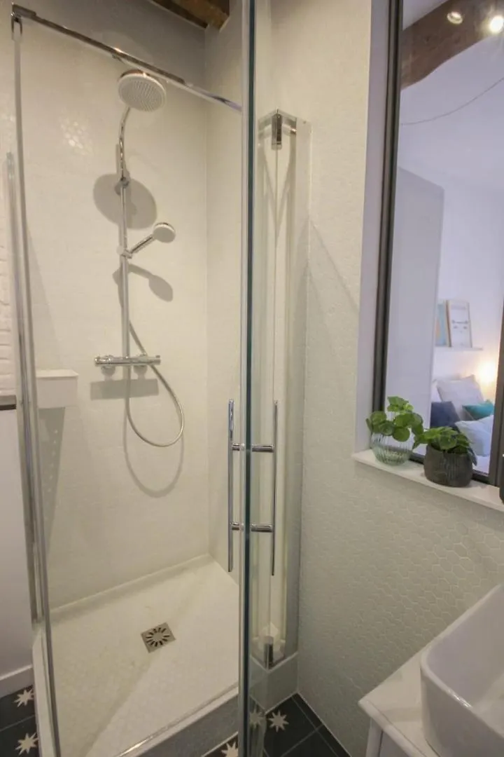 Old Town Apartment With View Lille